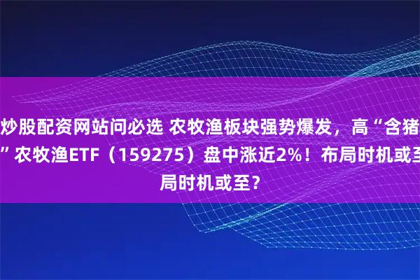 炒股配资网站问必选 农牧渔板块强势爆发，高“含猪量”农牧渔ETF（159275）盘中涨近2%！布局时机或至？