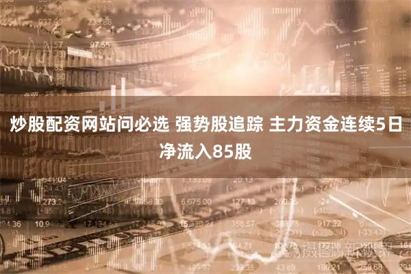 炒股配资网站问必选 强势股追踪 主力资金连续5日净流入85股
