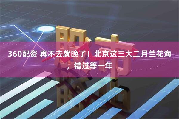 360配资 再不去就晚了！北京这三大二月兰花海，错过等一年